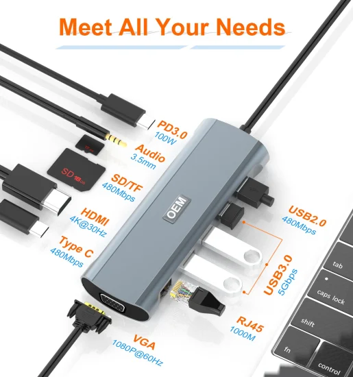 12 en 1 USB-C Hub Audio SD TF USB2.0 C Station d'accueil 2 HDMI VGA RJ45 Gigabit Réseau Pd Type-C Hub USB